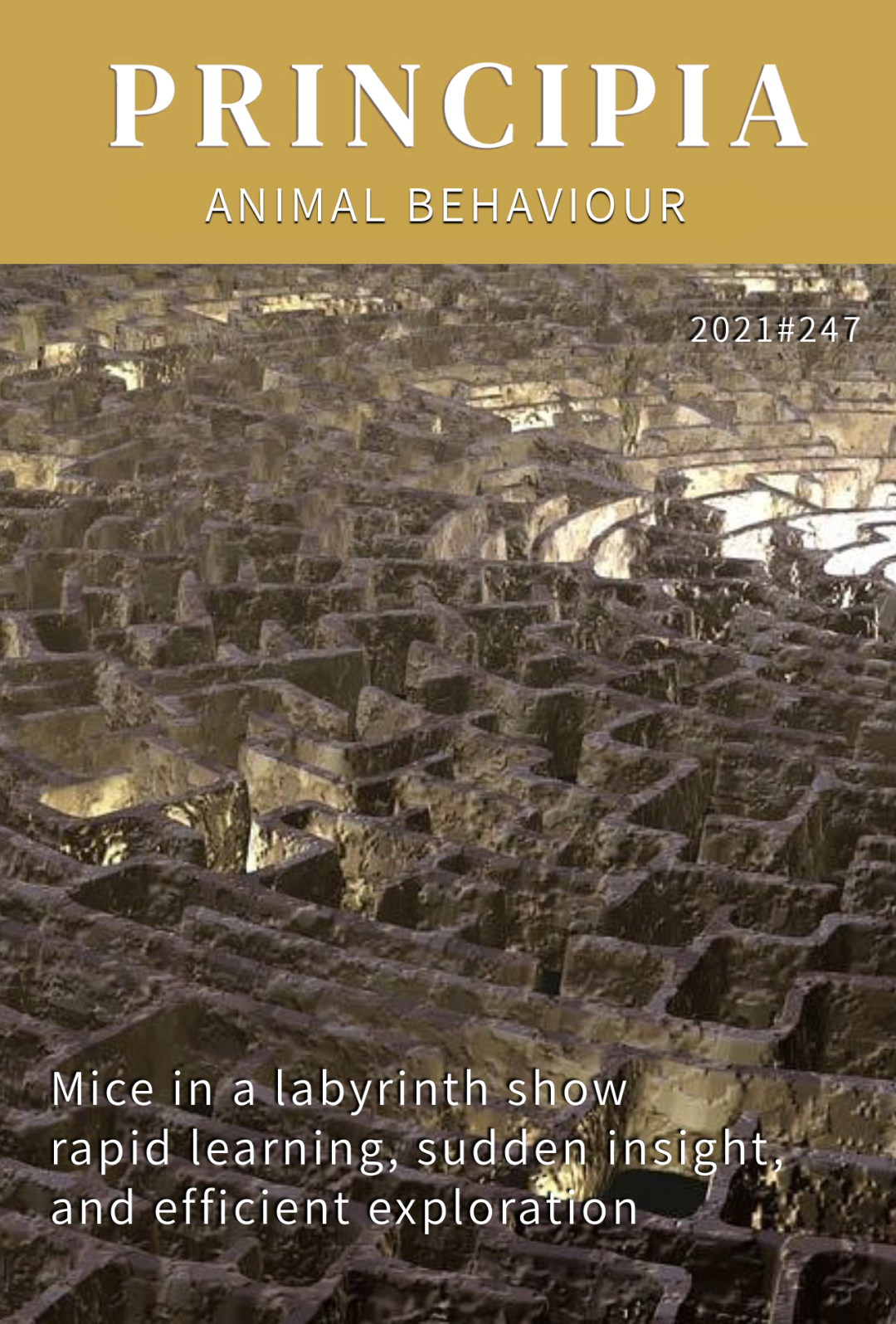 灵光乍现，悟了！“快速”学习也靠“顿悟”|加州理工学院