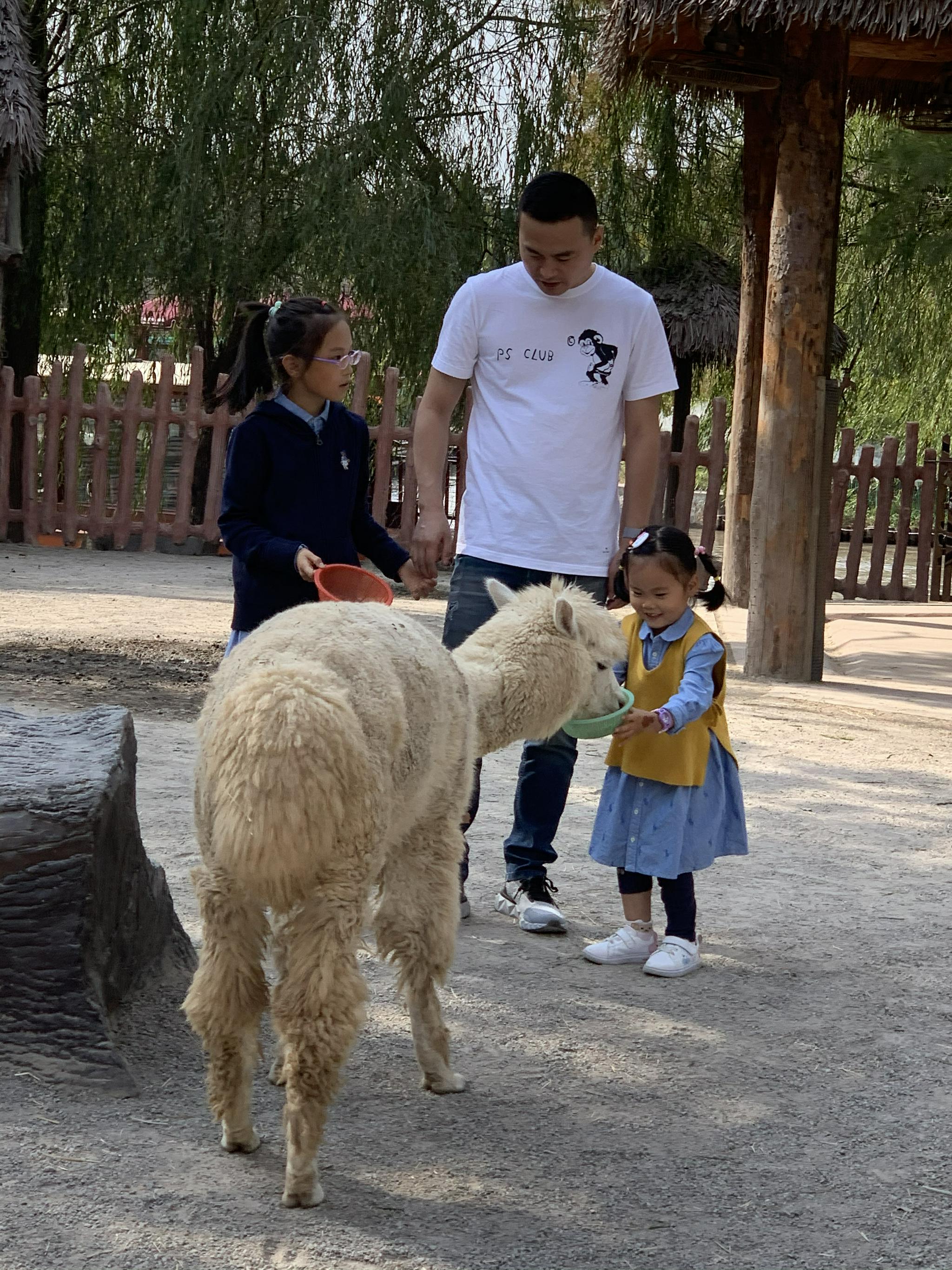 父亲节是什么时候（父亲节是什么时候_几月几日_）