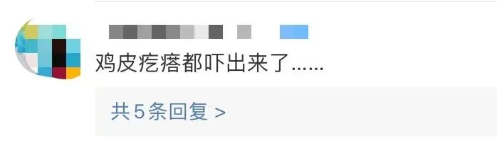 《云南虫谷》上热搜!剧里这些“老害怕”可是云南的保护动物休闲区蓝鸢梦想 - Www.slyday.coM 《云南虫谷》上热搜!剧里这些“老害怕”可是云南的保护动物休闲区蓝鸢梦想 - Www.slyday.coM