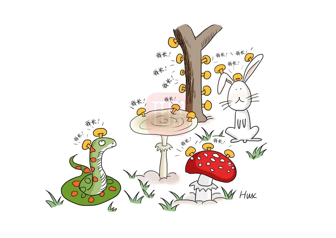 《云南虫谷》上热搜!剧里这些“老害怕”可是云南的保护动物休闲区蓝鸢梦想 - Www.slyday.coM 《云南虫谷》上热搜!剧里这些“老害怕”可是云南的保护动物休闲区蓝鸢梦想 - Www.slyday.coM