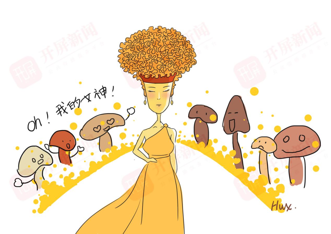 《云南虫谷》上热搜!剧里这些“老害怕”可是云南的保护动物休闲区蓝鸢梦想 - Www.slyday.coM 《云南虫谷》上热搜!剧里这些“老害怕”可是云南的保护动物休闲区蓝鸢梦想 - Www.slyday.coM