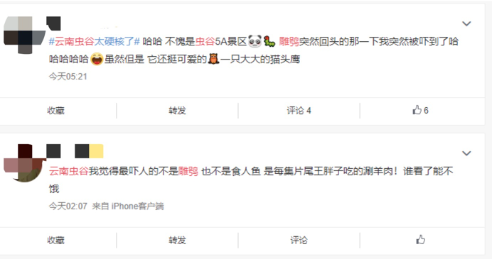 《云南虫谷》上热搜!剧里这些“老害怕”可是云南的保护动物休闲区蓝鸢梦想 - Www.slyday.coM 《云南虫谷》上热搜!剧里这些“老害怕”可是云南的保护动物休闲区蓝鸢梦想 - Www.slyday.coM