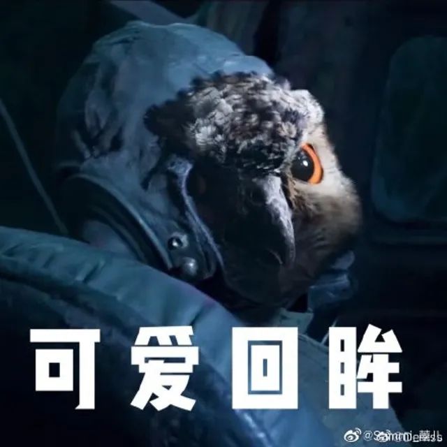 《云南虫谷》上热搜!剧里这些“老害怕”可是云南的保护动物休闲区蓝鸢梦想 - Www.slyday.coM 《云南虫谷》上热搜!剧里这些“老害怕”可是云南的保护动物休闲区蓝鸢梦想 - Www.slyday.coM