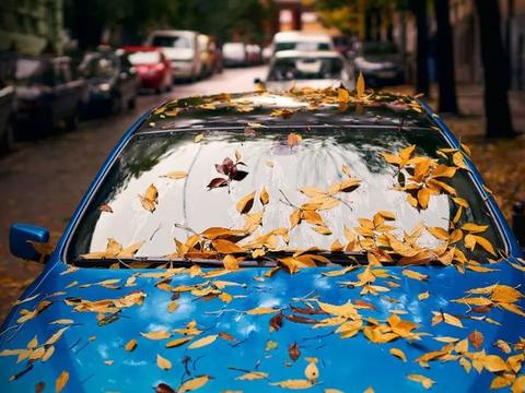 汽车一星期不开相当于报废？修车20年老师傅，告诉你其中的道理！