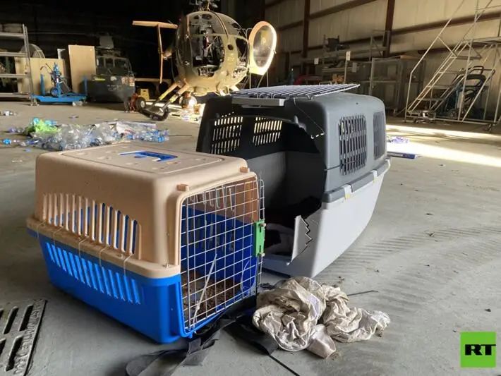 美军撤离后的喀布尔机场:废弃直升机、狗笼、垃圾、手榴弹…美国在阿富汗20年开销曝光休闲区蓝鸢梦想 - Www.slyday.coM 美军撤离后的喀布尔机场:废弃直升机、狗笼、垃圾、手榴弹…美国在阿富汗20年开销曝光休闲区蓝鸢梦想 - Www.slyday.coM