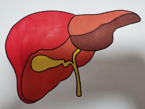 肝脏不好有哪些症状(怎样治疗)