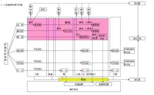 澄清石灰水怎么读(澄清石灰水怎么读音)