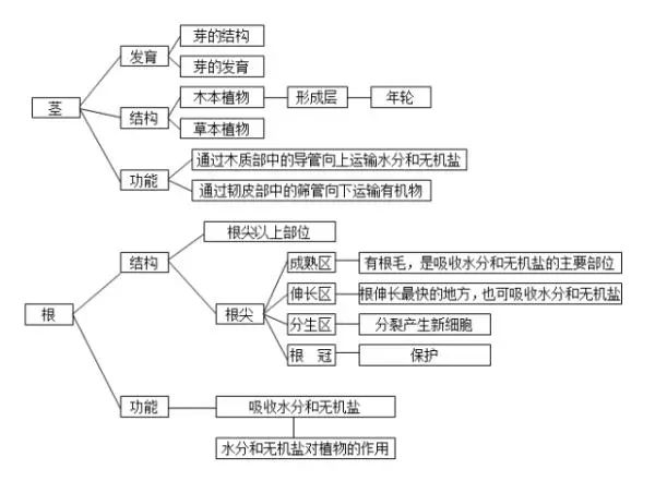 澄清石灰水怎么读(澄清石灰水怎么读音)