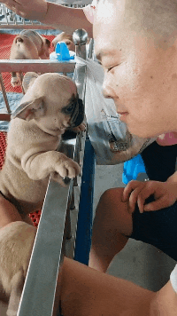 搞笑GIF趣图:哥们,就一只猫而已,至于这么害怕吗?休闲区蓝鸢梦想 - Www.slyday.coM 搞笑GIF趣图:哥们,就一只猫而已,至于这么害怕吗?休闲区蓝鸢梦想 - Www.slyday.coM