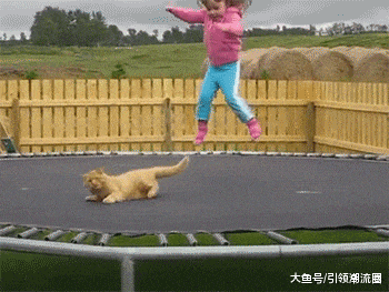 搞笑GIF趣图:哥们,就一只猫而已,至于这么害怕吗?休闲区蓝鸢梦想 - Www.slyday.coM 搞笑GIF趣图:哥们,就一只猫而已,至于这么害怕吗?休闲区蓝鸢梦想 - Www.slyday.coM