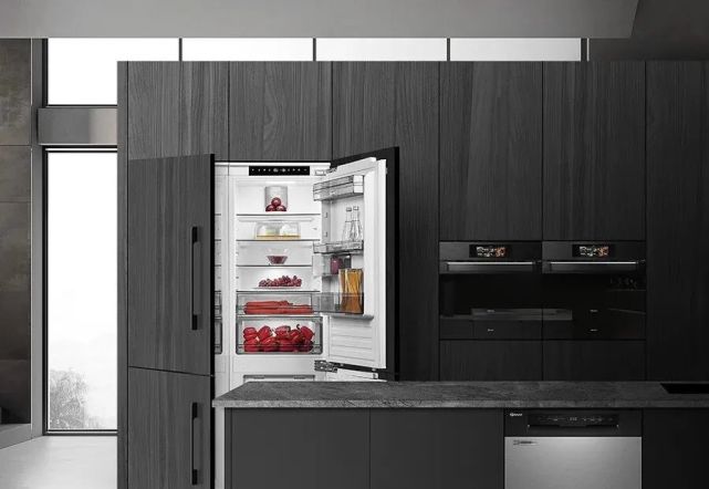 全透明衣柜嵌入式冰箱网红装修的坑到底有多深