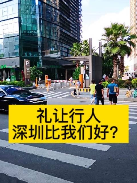 深圳出差，某普通的斑马线路口视频实拍，感觉比郑州好，你说呢？