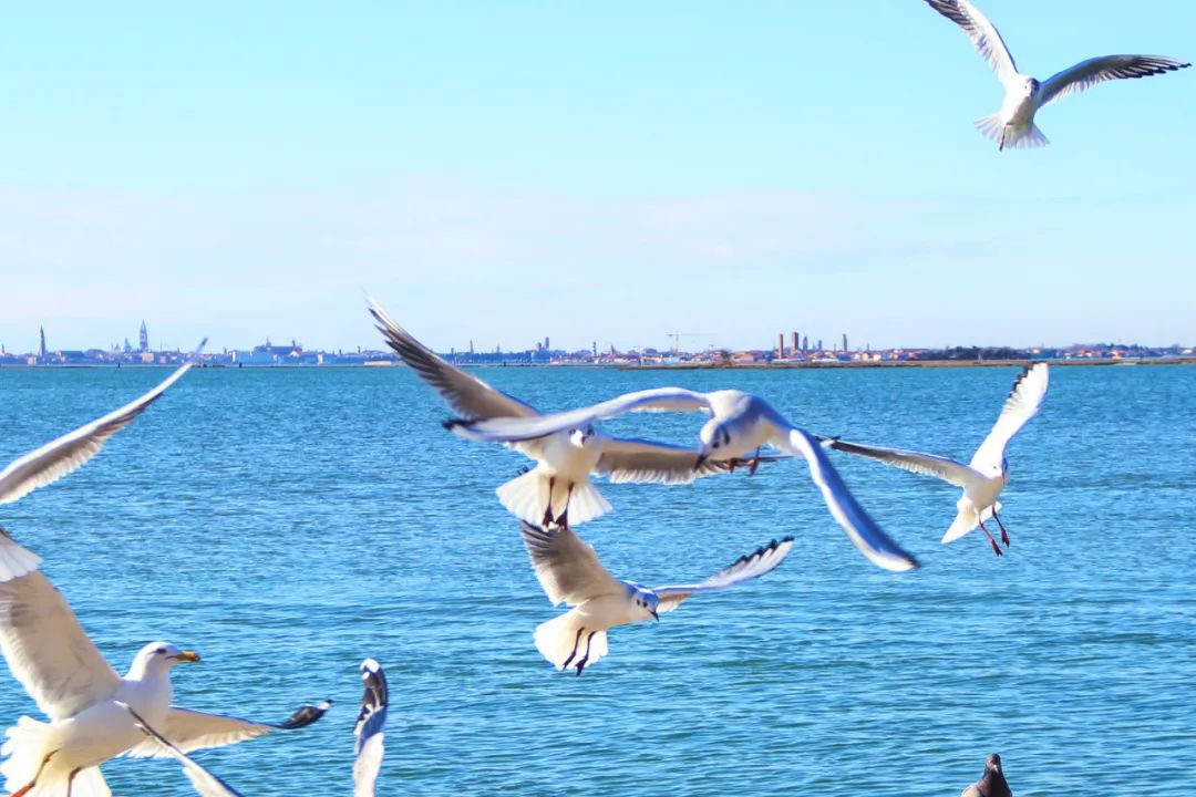 去哪里网（去哪儿旅行app官方下载）