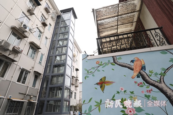 新民晚报记者 周馨 摄