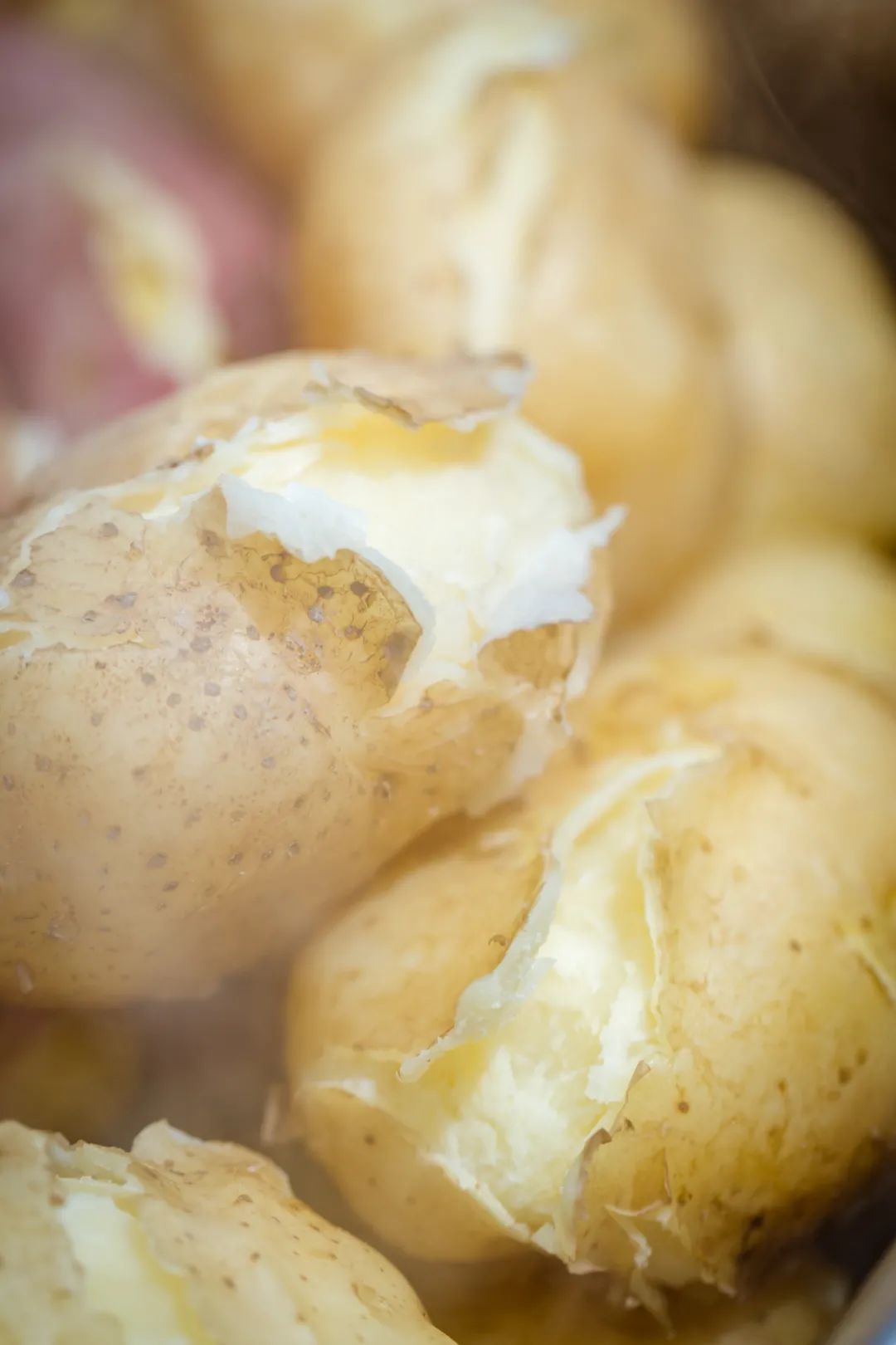 洋芋是什么（洋芋是什么梗）-85模板网