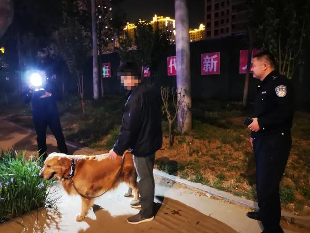 处罚记录将终身留存!德州整治不文明养犬又放大招休闲区蓝鸢梦想 - Www.slyday.coM 处罚记录将终身留存!德州整治不文明养犬又放大招休闲区蓝鸢梦想 - Www.slyday.coM