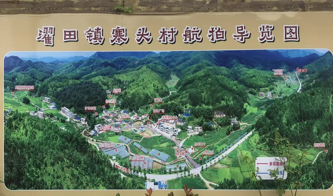 拳头大的百香果见过吗?记者小姐姐一连吃了五个,明天带你“尝鲜”休闲区蓝鸢梦想 - Www.slyday.coM 拳头大的百香果见过吗?记者小姐姐一连吃了五个,明天带你“尝鲜”休闲区蓝鸢梦想 - Www.slyday.coM