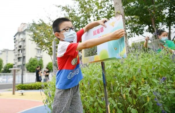 东京残奥会闭幕:中国代表团金牌榜和奖牌榜双第一!闭幕式上这支舞亮了休闲区蓝鸢梦想 - Www.slyday.coM 东京残奥会闭幕:中国代表团金牌榜和奖牌榜双第一!闭幕式上这支舞亮了休闲区蓝鸢梦想 - Www.slyday.coM