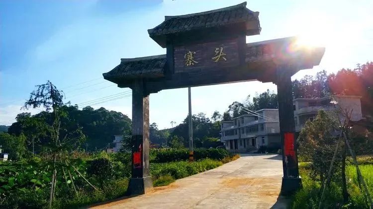 拳头大的百香果见过吗?记者小姐姐一连吃了五个,明天带你“尝鲜”休闲区蓝鸢梦想 - Www.slyday.coM 拳头大的百香果见过吗?记者小姐姐一连吃了五个,明天带你“尝鲜”休闲区蓝鸢梦想 - Www.slyday.coM