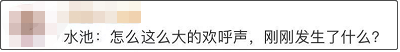 奥运冠军齐聚全运会 再度上演“水花消失术”