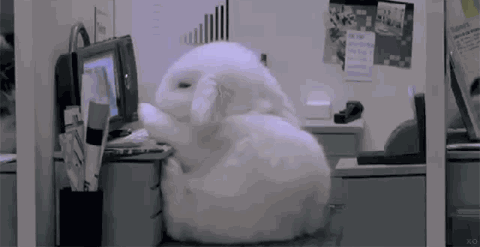 个人爱好特长怎么写（简历的个人爱好特长怎么写）