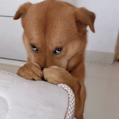 社死现场!嘉兴一男子手臂被卡厕所蹲坑下水道!网友:这手还能要吗?休闲区蓝鸢梦想 - Www.slyday.coM 社死现场!嘉兴一男子手臂被卡厕所蹲坑下水道!网友:这手还能要吗?休闲区蓝鸢梦想 - Www.slyday.coM