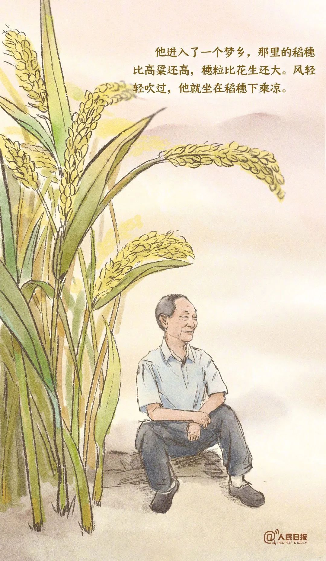 风吹过稻田,我又想起您!