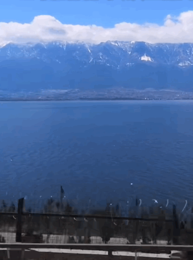 @抖音叫我旅行菌