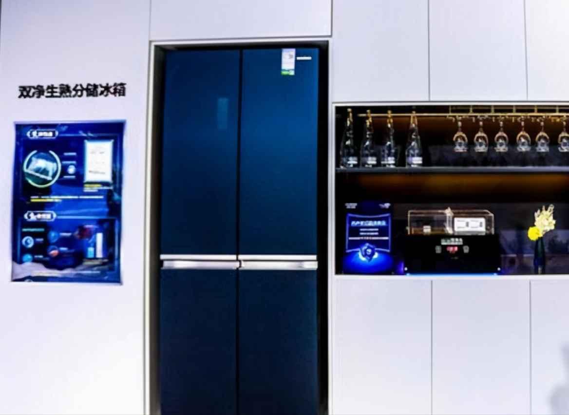 曾打败海尔,蝉联8年冰箱销量第一,因创始人离去,失去龙头地位休闲区蓝鸢梦想 - Www.slyday.coM 曾打败海尔,蝉联8年冰箱销量第一,因创始人离去,失去龙头地位休闲区蓝鸢梦想 - Www.slyday.coM