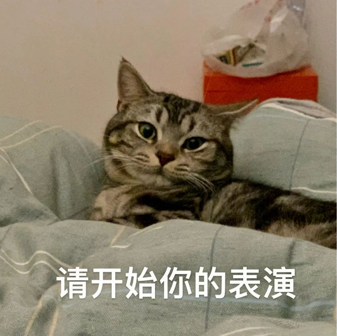 双台共舞!14号台风“灿都”变身超强台风,至于对深圳的影响......休闲区蓝鸢梦想 - Www.slyday.coM 双台共舞!14号台风“灿都”变身超强台风,至于对深圳的影响......休闲区蓝鸢梦想 - Www.slyday.coM