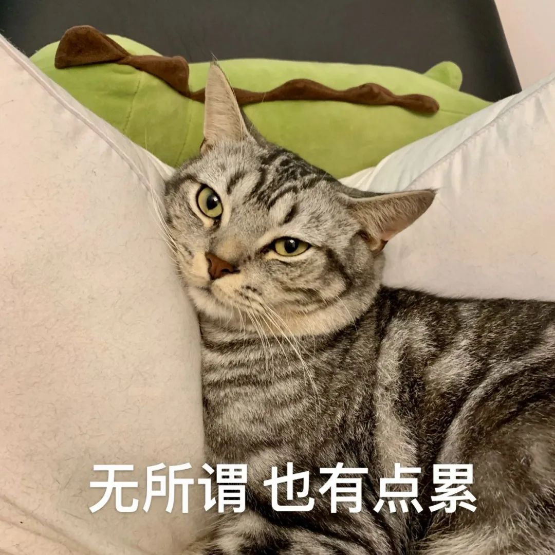 双台共舞!14号台风“灿都”变身超强台风,至于对深圳的影响......休闲区蓝鸢梦想 - Www.slyday.coM 双台共舞!14号台风“灿都”变身超强台风,至于对深圳的影响......休闲区蓝鸢梦想 - Www.slyday.coM