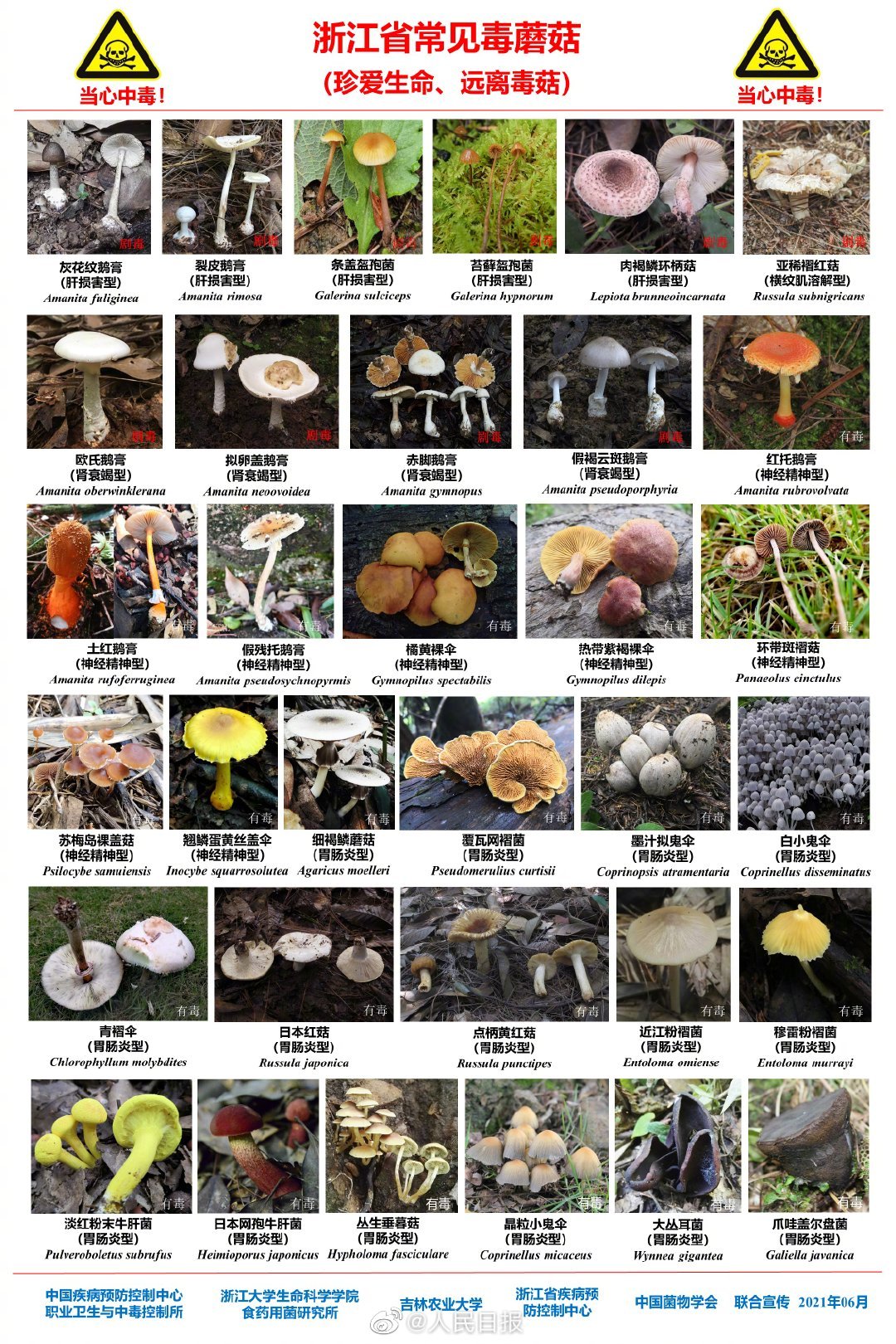 贵州最常见的30种毒蘑菇曝光