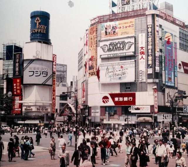 知青在<a href=