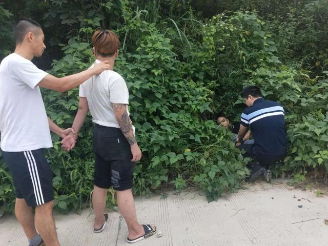 “偷来的钱还不够路费”一夜间3人疯狂作案7起,被抓后却说“你们这里东西太难偷了”休闲区蓝鸢梦想 - Www.slyday.coM “偷来的钱还不够路费”一夜间3人疯狂作案7起,被抓后却说“你们这里东西太难偷了”休闲区蓝鸢梦想 - Www.slyday.coM