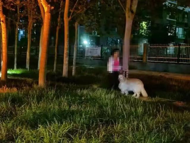 衡水警方巡查不文明养犬行为:有人持绳不拴狗,有人抱起狗开溜休闲区蓝鸢梦想 - Www.slyday.coM 衡水警方巡查不文明养犬行为:有人持绳不拴狗,有人抱起狗开溜休闲区蓝鸢梦想 - Www.slyday.coM