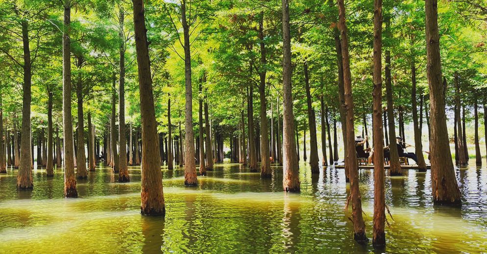 快,9月机票“捡漏”!从成都飞这些地方低至2折休闲区蓝鸢梦想 - Www.slyday.coM 快,9月机票“捡漏”!从成都飞这些地方低至2折休闲区蓝鸢梦想 - Www.slyday.coM