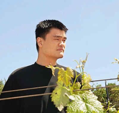 姚明4832万买下<a href=