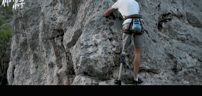 香港票房冠军,这位“苏神”让我哭崩了休闲区蓝鸢梦想 - Www.slyday.coM 香港票房冠军,这位“苏神”让我哭崩了休闲区蓝鸢梦想 - Www.slyday.coM