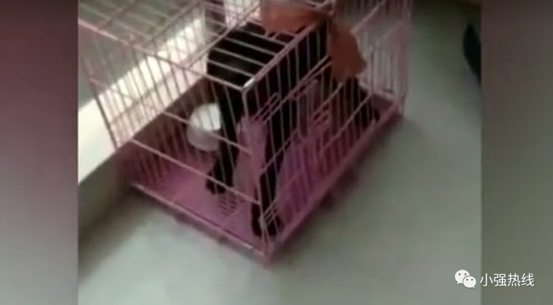 男子替朋友照看房子,睡了两周后在床底发现一具尸体休闲区蓝鸢梦想 - Www.slyday.coM 男子替朋友照看房子,睡了两周后在床底发现一具尸体休闲区蓝鸢梦想 - Www.slyday.coM