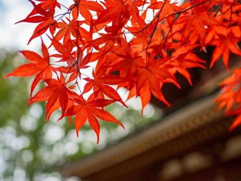 以后真的可以拥有一切,我会有这种命。好好做心里准备?