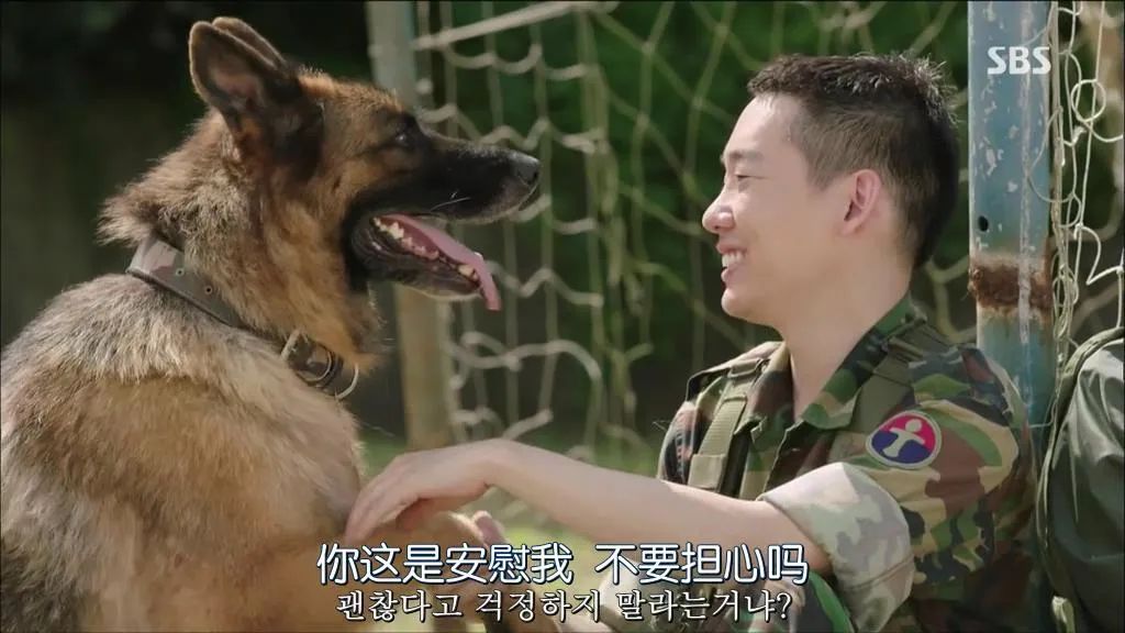 豆瓣9.2，<a href=