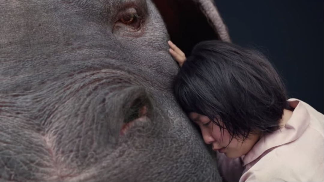 豆瓣9.2，<a href=