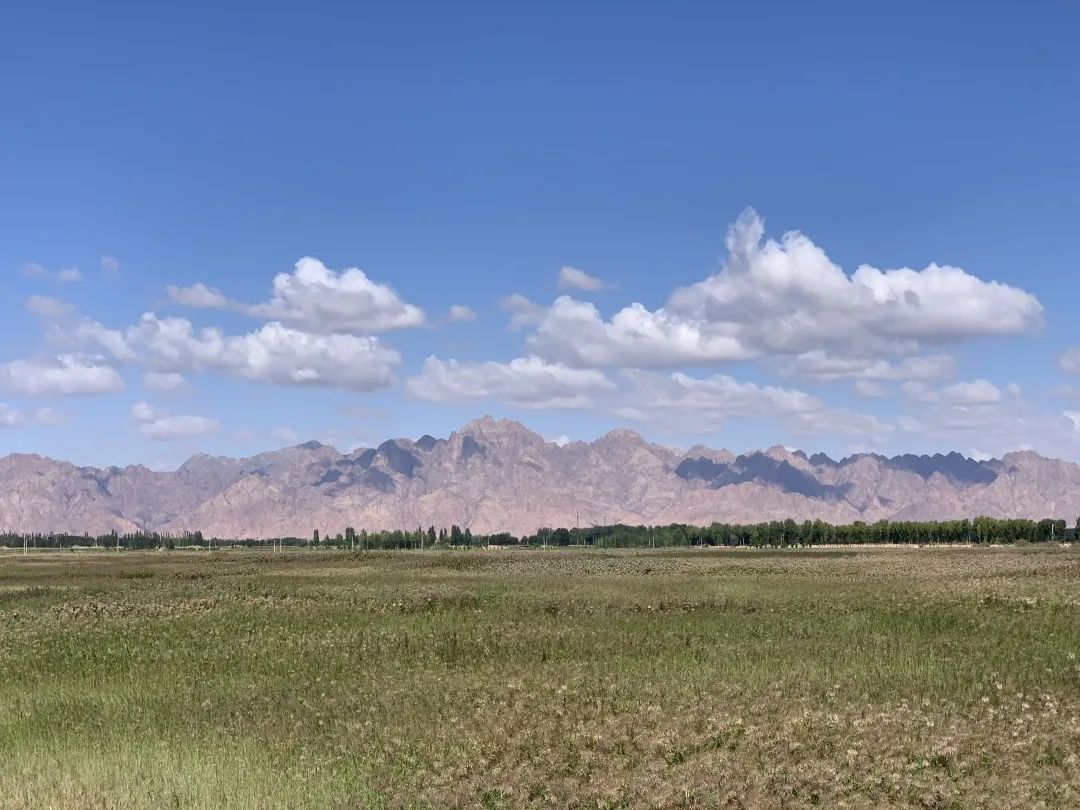 狼山的灰色崖壁上,没有一只岩羊能逃过她的眼睛休闲区蓝鸢梦想 - Www.slyday.coM 狼山的灰色崖壁上,没有一只岩羊能逃过她的眼睛休闲区蓝鸢梦想 - Www.slyday.coM