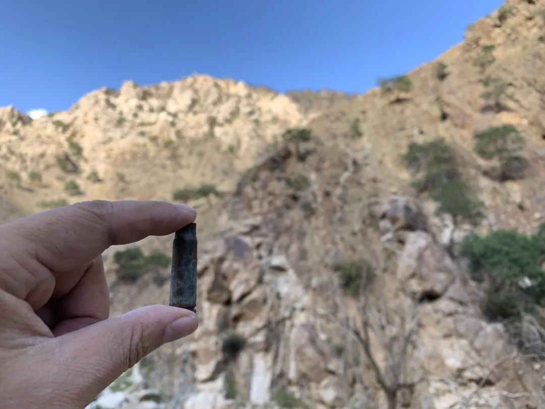 狼山的灰色崖壁上,没有一只岩羊能逃过她的眼睛休闲区蓝鸢梦想 - Www.slyday.coM 狼山的灰色崖壁上,没有一只岩羊能逃过她的眼睛休闲区蓝鸢梦想 - Www.slyday.coM