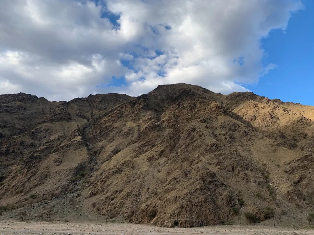 狼山的灰色崖壁上,没有一只岩羊能逃过她的眼睛休闲区蓝鸢梦想 - Www.slyday.coM 狼山的灰色崖壁上,没有一只岩羊能逃过她的眼睛休闲区蓝鸢梦想 - Www.slyday.coM