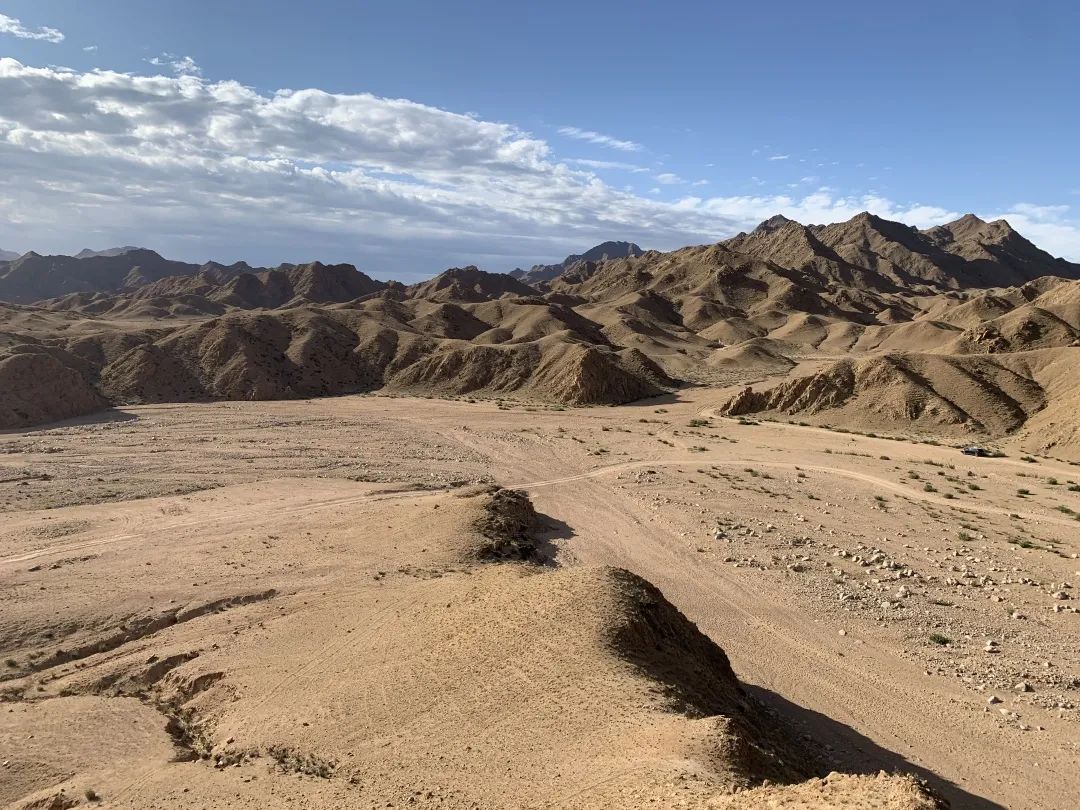 狼山的灰色崖壁上,没有一只岩羊能逃过她的眼睛休闲区蓝鸢梦想 - Www.slyday.coM 狼山的灰色崖壁上,没有一只岩羊能逃过她的眼睛休闲区蓝鸢梦想 - Www.slyday.coM
