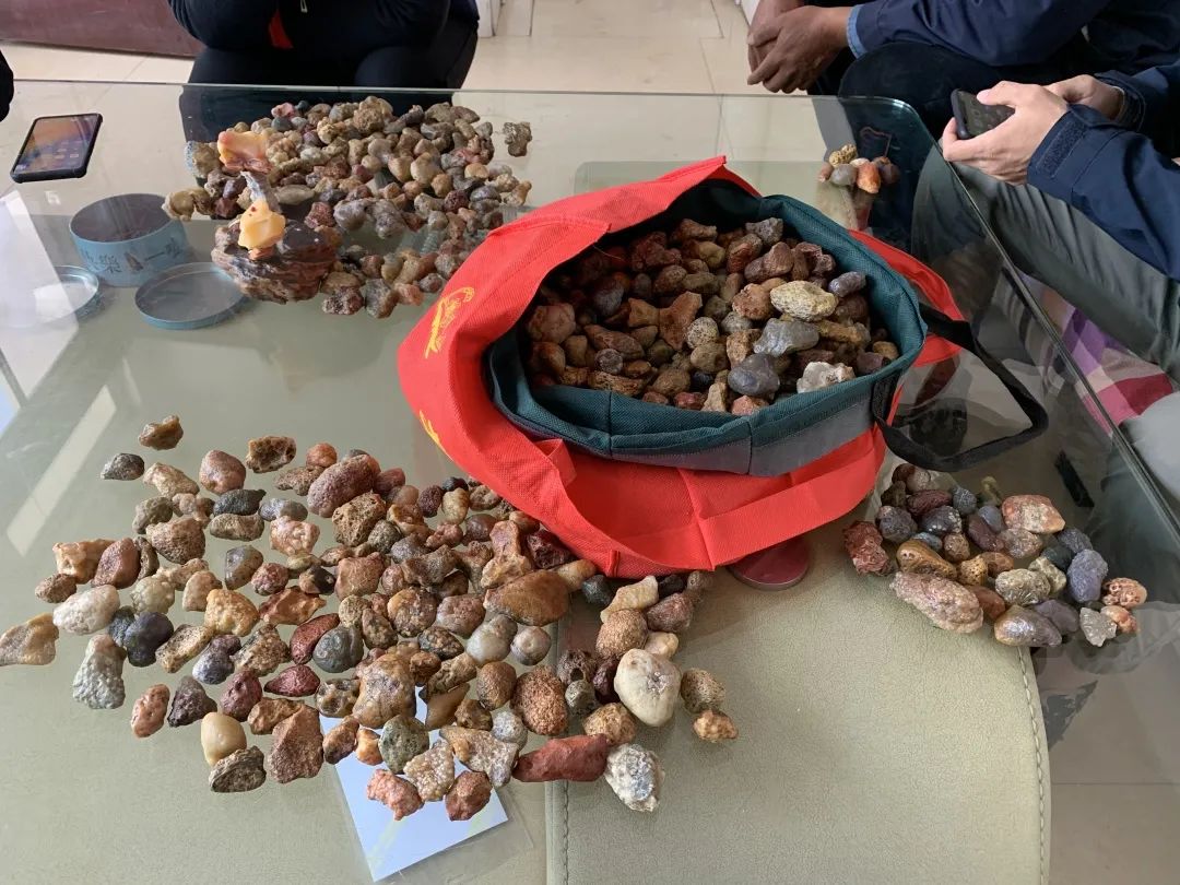 狼山的灰色崖壁上,没有一只岩羊能逃过她的眼睛休闲区蓝鸢梦想 - Www.slyday.coM 狼山的灰色崖壁上,没有一只岩羊能逃过她的眼睛休闲区蓝鸢梦想 - Www.slyday.coM