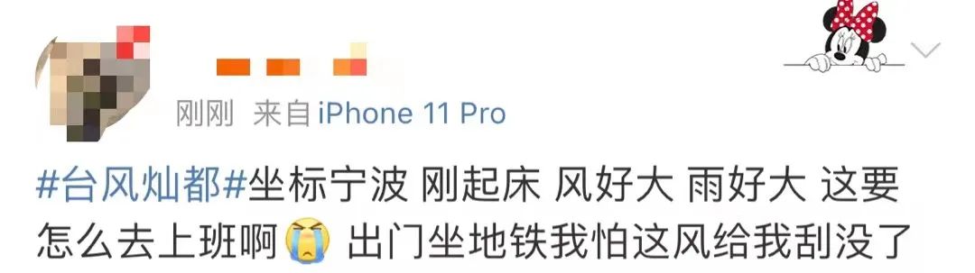 浙江一地紧急停工!台风“灿都”登陆时间地点可能又有变!钱塘江巨浪拍岸,多地已遭风雨“暴击”休闲区蓝鸢梦想 - Www.slyday.coM 浙江一地紧急停工!台风“灿都”登陆时间地点可能又有变!钱塘江巨浪拍岸,多地已遭风雨“暴击”休闲区蓝鸢梦想 - Www.slyday.coM