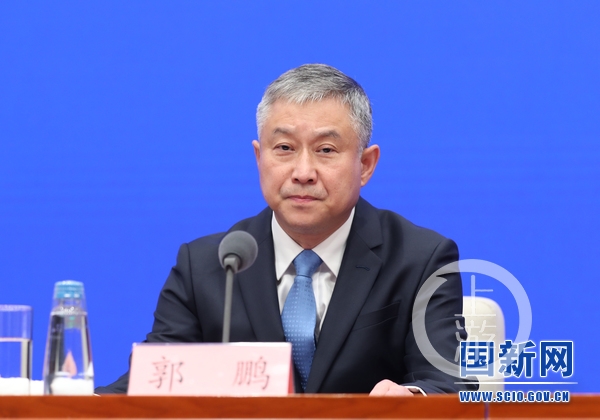 教育部财务司司长郭鹏.图片来源/国新网