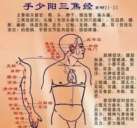熟悉中医经络的朋友都知道手少阳三焦经.